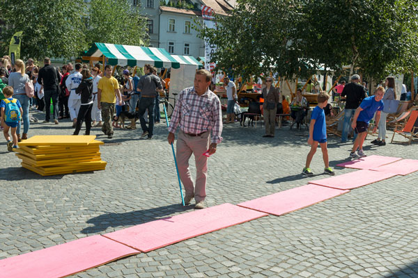 600_sdt_breg6.jpg